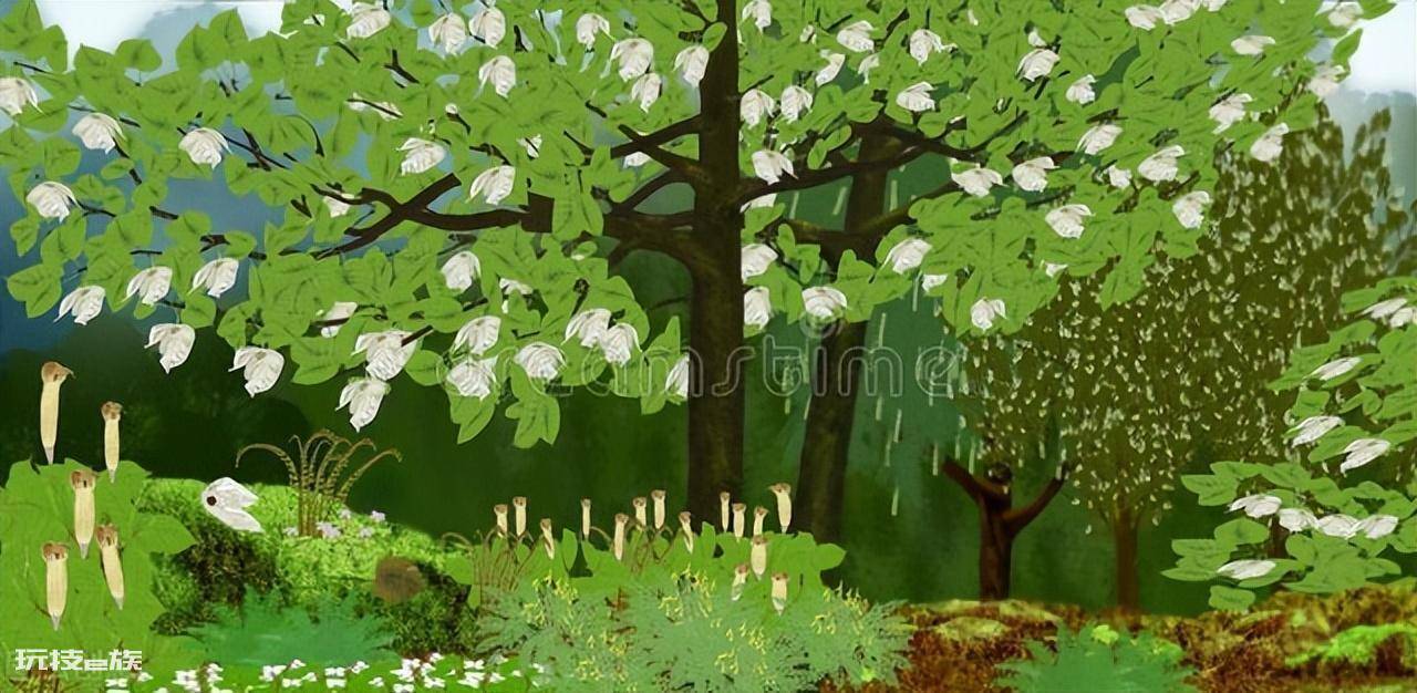 珙桐是什么植物及样子图片(珙桐为什么被称作鸽子树)-图片6